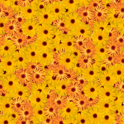 Similar image 20999633