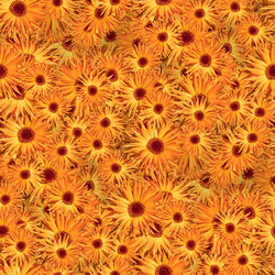 Similar image 20999634