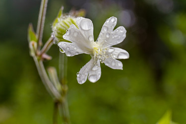 Similar image 20995997