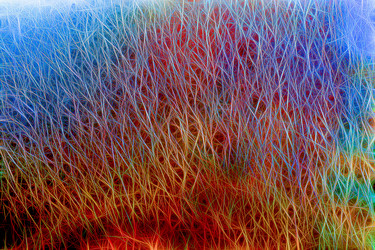 Similar image 20996000