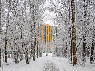 Similar image 20996002