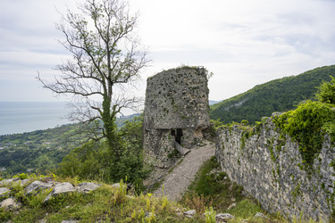 Similar image 20995958