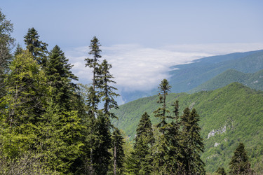 Similar image 20995960