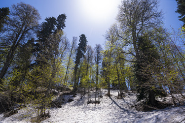 Similar image 20995961