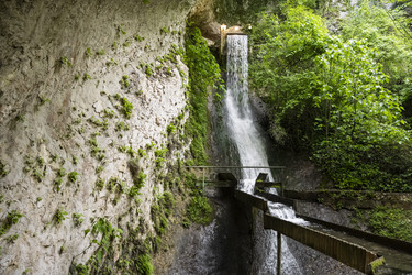 Similar image 21001639