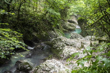 Similar image 21001643