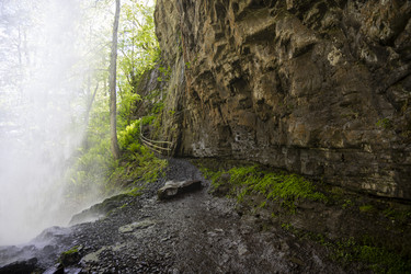 Similar image 21001651