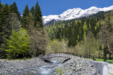 Similar image 21001654