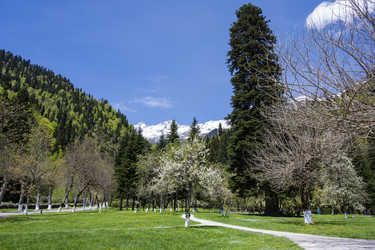 Similar image 21001655