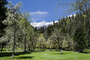 Similar image 21001656