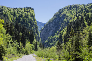 Similar image 21001658