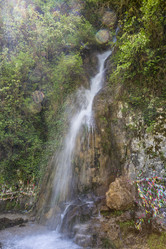 Similar image 21001659