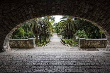 Similar image 21001667