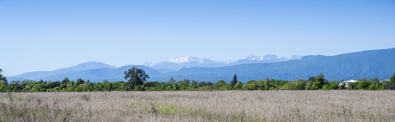 Similar image 21001685