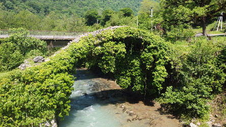 Similar image 21001704