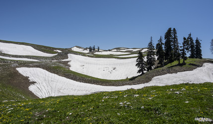 Similar image 21001719