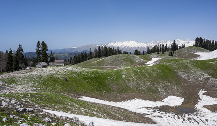 Similar image 21001721