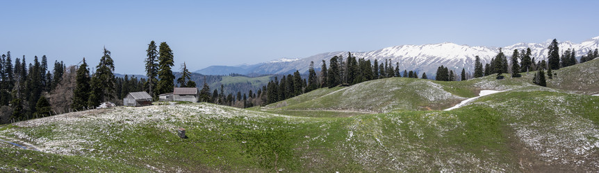 Similar image 21001722