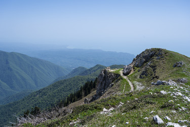 Similar image 21001727