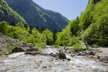 Similar image 21001742