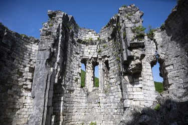 Similar image 21001766