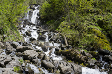 Similar image 21001774