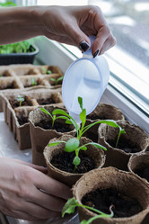 Similar image 20992686