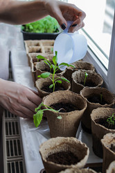 Similar image 20992687