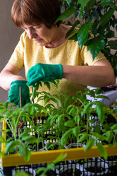 Similar image 20992693