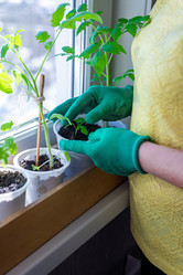 Similar image 20992696