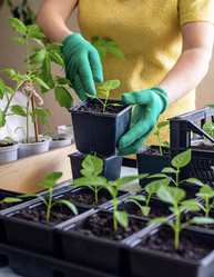 Similar image 20992697