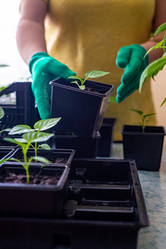 Similar image 20992698