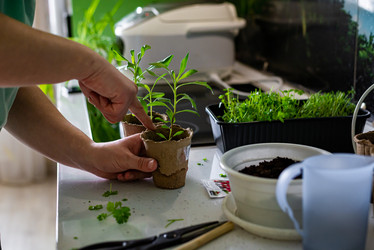 Similar image 20992700