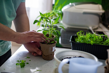 Similar image 20992701