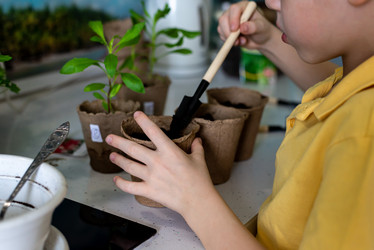 Similar image 20992703