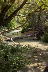 Similar image 20998887