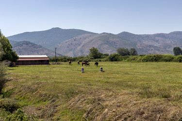 Similar image 20997951