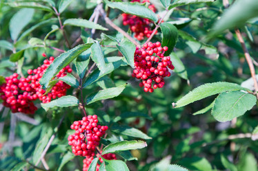 Similar image 20992711