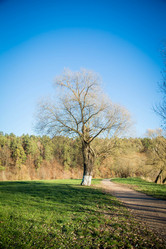 Similar image 20992712