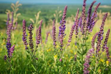 Similar image 20992713