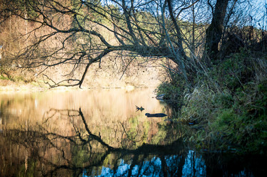 Similar image 20992715