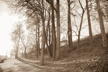 Similar image 20992716