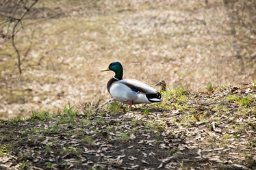 Similar image 20992718