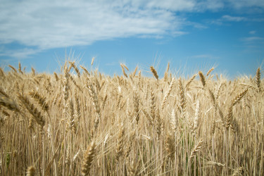 Similar image 20992719