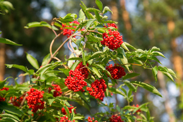 Similar image 20992722