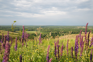 Similar image 20992837