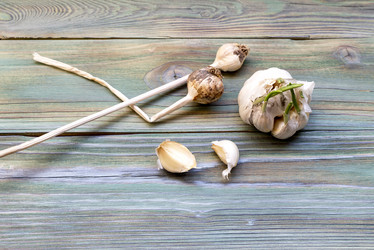 Similar image 20997957