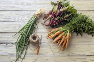 Similar image 21004993