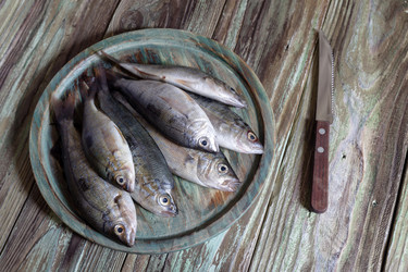 Similar image 21001392