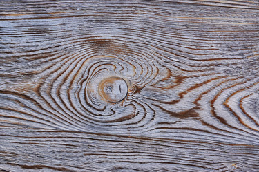 Similar image 20995252